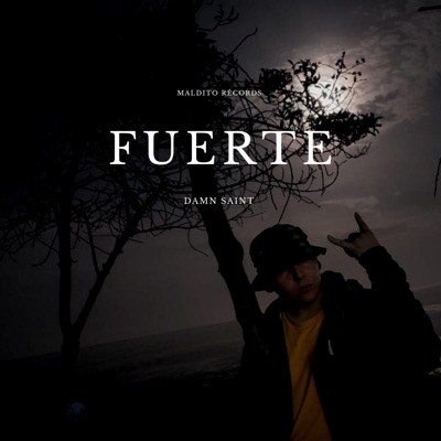 Fuerte - Single