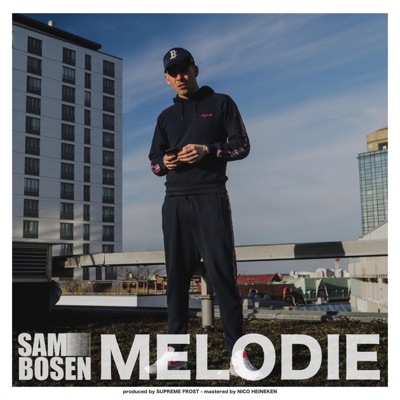 Melodie (feat. Supreme.Frost & Marekuja) - Single