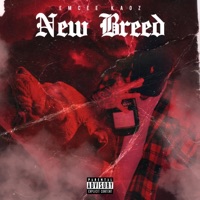 New Breed - EP - Kaoz