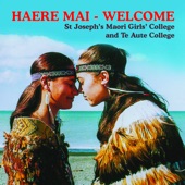 Haere Mai - Welcome artwork