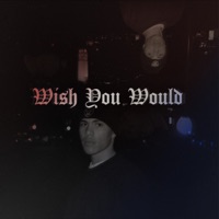 Wish You Would - Single - Westside Gravy