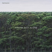 You're Not Alone artwork