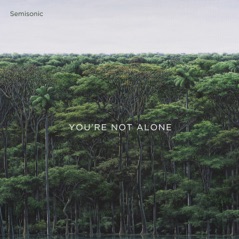 You're Not Alone - EP