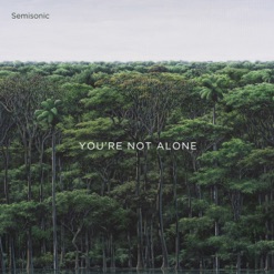 YOURE NOT ALONE cover art