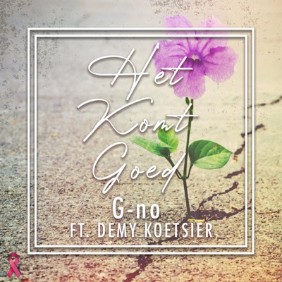 Het Komt Goed (feat. Demy Koetsier) - Single