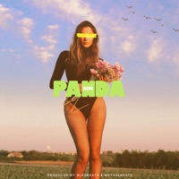 Album cover for Panda by Ron
