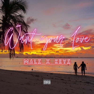 WANT YOUR LOVE  MALZ x KEYz - Single