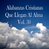 Alabanzas Cristianas Que Llegan al Alma, Vol. 30 - Various Artists