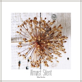 What You See Almøst Silent