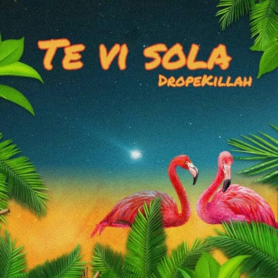 Te Ví Sola - Single