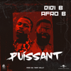 Puissant - Didi B & Afro B