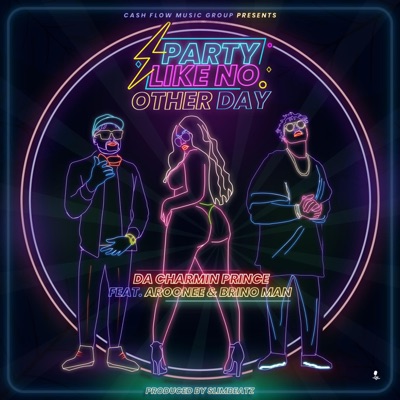Party Like No Other Day (feat. Aroonee & Brino Man) - Single