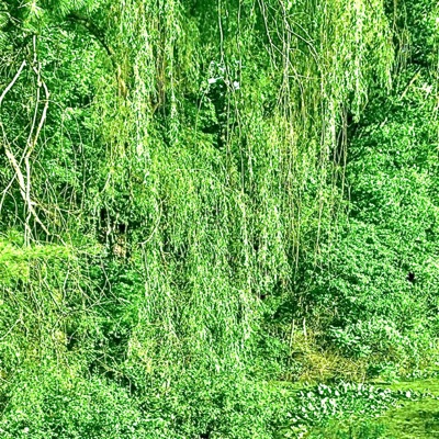 Holding Back - Single