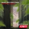 Emotions Vs Reality - Woody van Eyden & FAWZY lyrics
