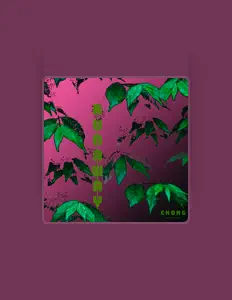 收听 ckong、观看音乐视频、阅读小传、查看巡演日期等 ！