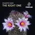 The Right One - Single album cover