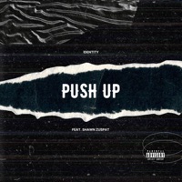 Push Up (feat. Shawn Zuspät) - Single - IDENTITY