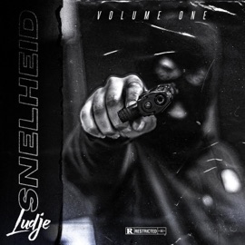 Dinero (feat. Mozes) Ludje