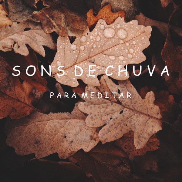 Sons de Chuva Para Meditar