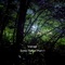 Inner Forest (Sonic Rebel Pt. 1 Version) - Vairagi lyrics