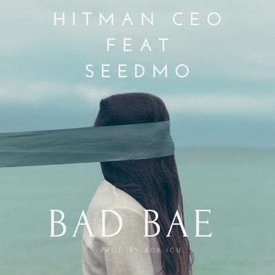 Bad Bae (feat. Seedmo) - Single