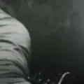 Abrazo