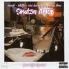 Sinalzin Amor (feat. VINI BARCELLOS, Nandi, Blatto & Ninas Lima) - Single