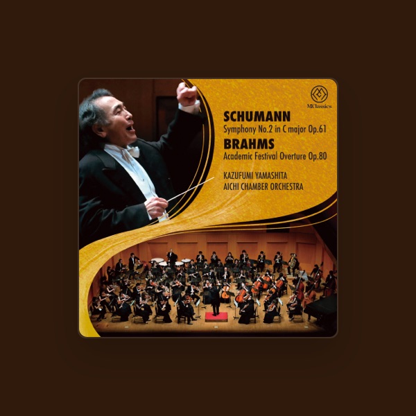 Aichi Chamber orchestra's avatar