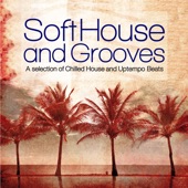 Soft House and Grooves (A Selection of Chilled House and Uptempo Beats) artwork