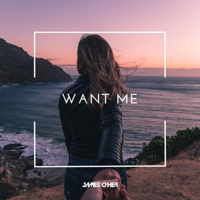 Want Me - Single