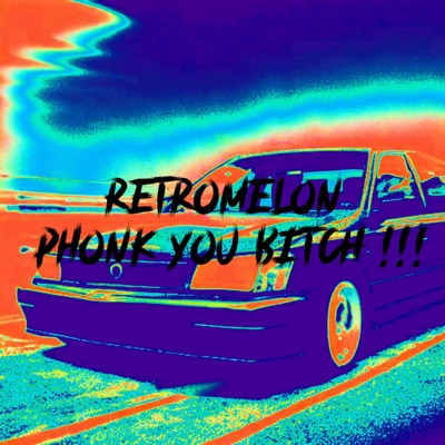 Phonk You Bitch !!! - Single