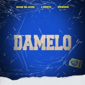 Damelo artwork