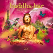 Buddha-Bar Paris, The Origins (XXI) artwork