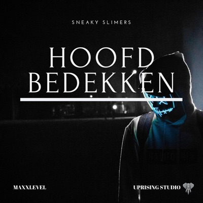 Hoofd Bedekken (feat. Maxxlevel) - Single