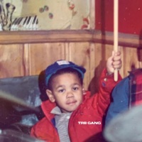 The Gang (feat. Double R) - Single - TRB Gang