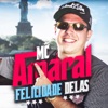 Felicidade Delas - Single