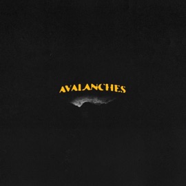 Avalanches Phonzz