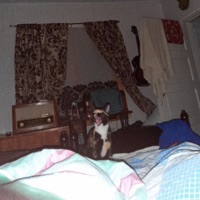 50 Tapaa kuolla (feat. Anni Aarnio) - Single - Mactopias