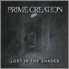 Lost in the Shades - Single