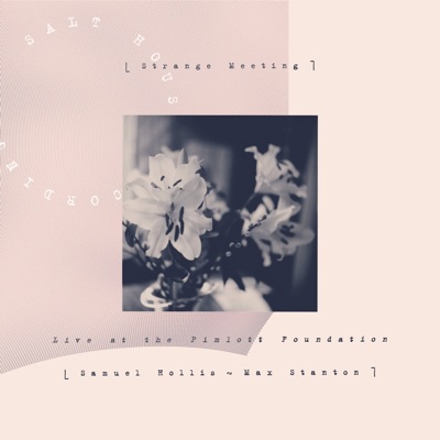 Strange Meeting  Live at the Pimlott Foundation - Single