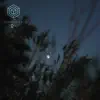 Illusion of Sense