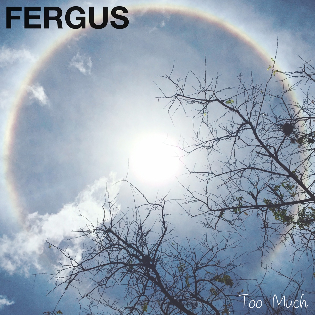 Strangers In The Night - Fergus