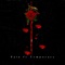 Feel Flow - Sttab lyrics