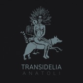 Transidelia - To Sístima