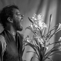 Exagerado - Single - Alfonso Barbieri