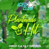 Plantando Hit - Single - Chryzz, Yung Beta & Lil Ka