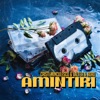 Amintiri - Single