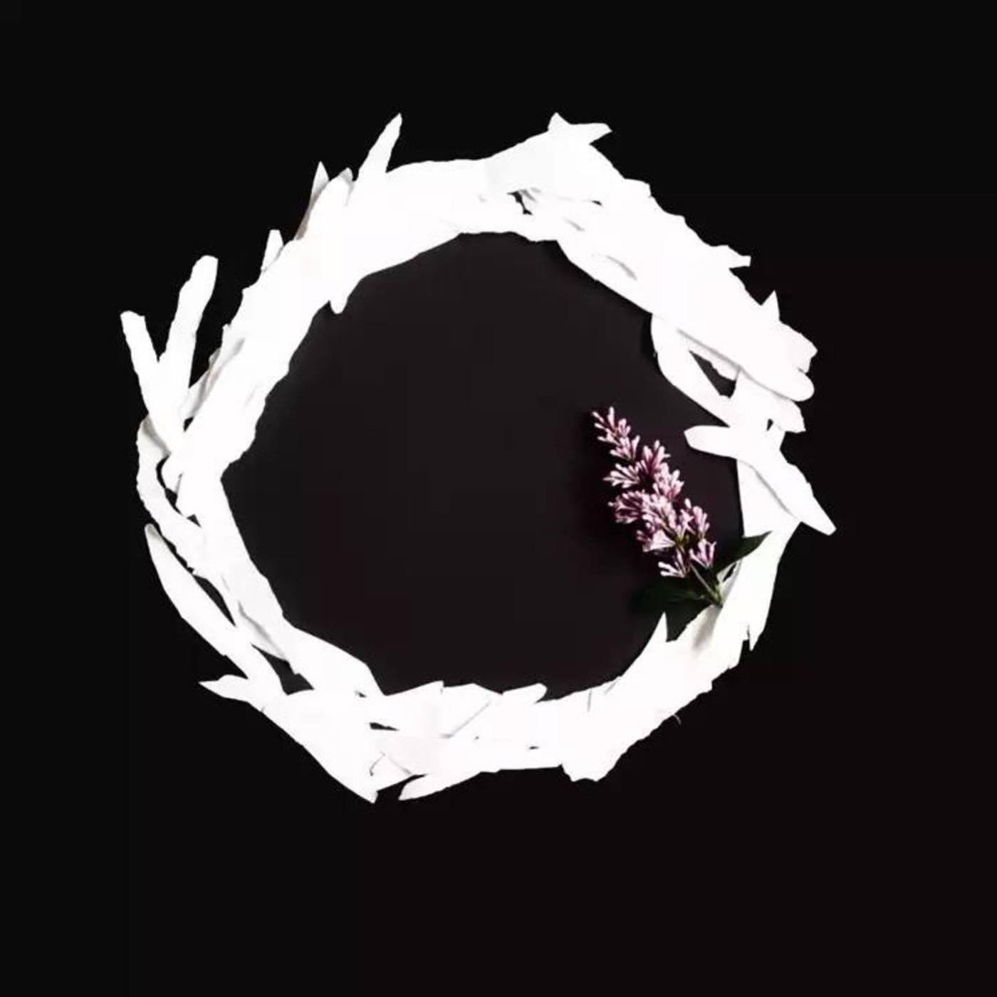 Circle Thinking by I Hate Sex