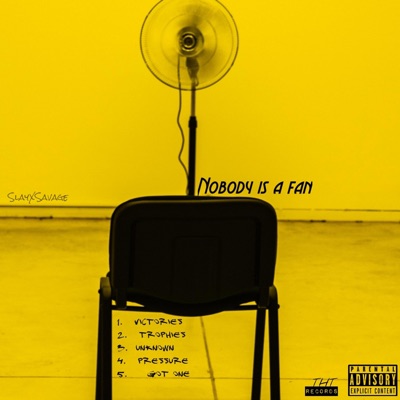 Nobody Is a Fan, Vol. 1 - EP