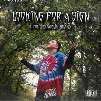 Looking for a Sign - Single - Gibby Stites